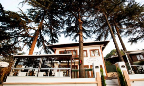 Гостиница Nizam Butik Otel Büyükada  Адалар